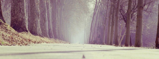 Der Herbst und die Strom-Gasanbieterwechselsaison beginnt.