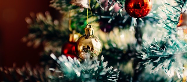 Weihnachtsbäume nachhaltig nutzen